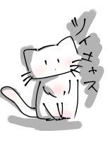 キャス用