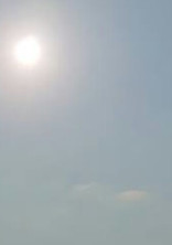 空は快晴だった。