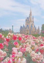 Love ban…💘