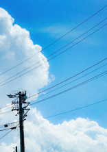 WT BL 「青空」