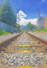 名前の知らない君に恋をした僕