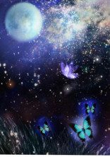 君と私は違うから、好きだけど好きにはなれない