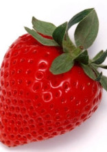 🍓掲示板🍓