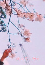 咲くな、桜。