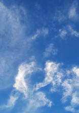 だって、「私」だよ?