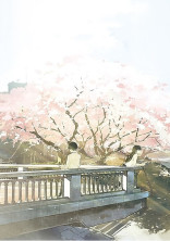 春 夏 秋 冬 .*