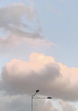 天使になった私