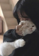 よじゃまんね