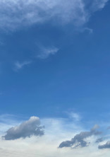 どっちにするの?