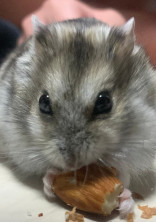 お喋りのお部屋