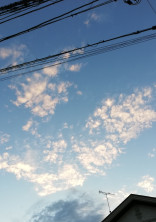 絵の成長日記