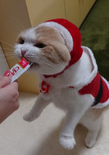 勝利の姉はすごい人…!?笑