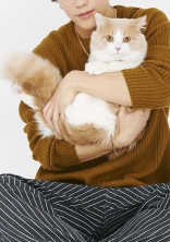 猫が好きな君と_