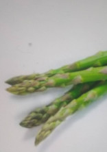 アスパラガスの私と納豆くんの恋
