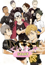 選択肢。 〖ハイキュー〗