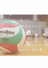 ~白鳥沢学園排球部の日常~
