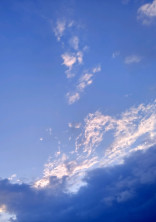 写真集