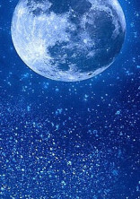 月夜に輝く輝夜姫