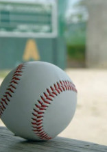 全員野球。~ひと夏に掛ける野球ボールへの想い〜