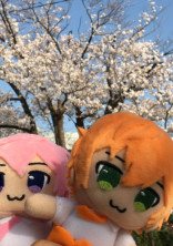 桃橙だけ書くところ