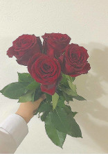 紅一点Girl___.