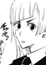 星 漿 体 で す .