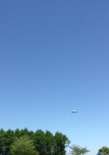 空 〜 見上げた世界
