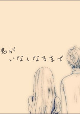 君がいなくなるまで