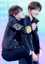 🐰🐯
