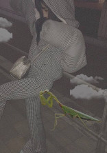 ぱらじょるーむ 。