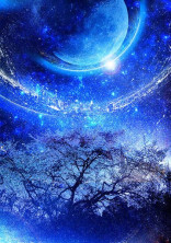.+:。星に願いを 。:+.