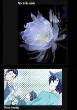 闇に咲く花