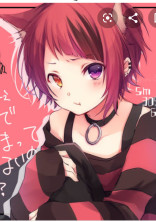 夢主とすとぷり✨(リクエスト型)