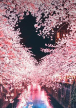 私は、◯◯の妹です!