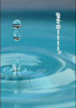 貴方は……