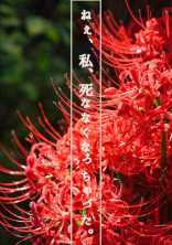 ねぇ、私、死ななくなっちゃった。