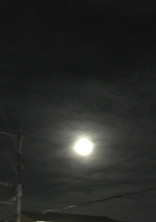 夜の2人