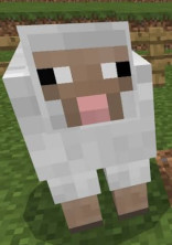 マイクラの世界