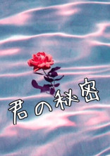 君の秘密