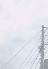 すきすきがかさなりすぎた