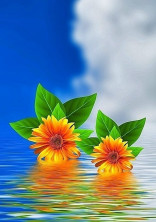 この夏_君に恋をした