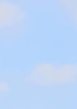 防弾の天使