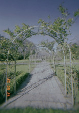 🥀この度花嫁になりました。