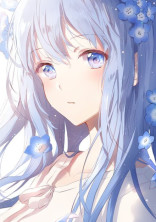 蒼いケシの花と