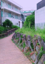 私の兄