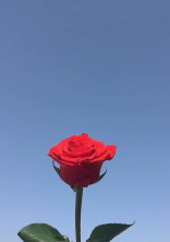 ♡
