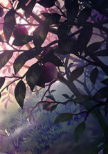 𝑠𝑡𝑢𝑑𝑦