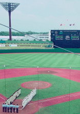 青春野球
