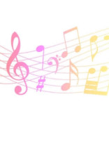 Metallophone funclub🎵🐰