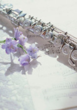 All leads